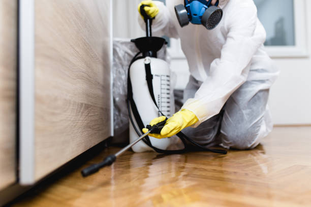 Best Termite Control Services  in Ukiah, CA