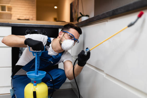 Best Wildlife Control Services  in Ukiah, CA