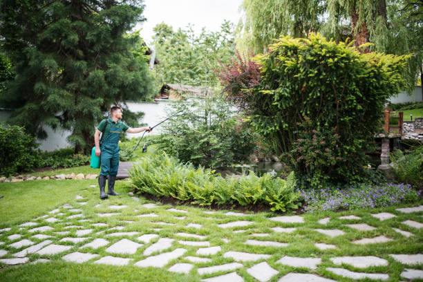 Best Wildlife Control Services  in Ukiah, CA