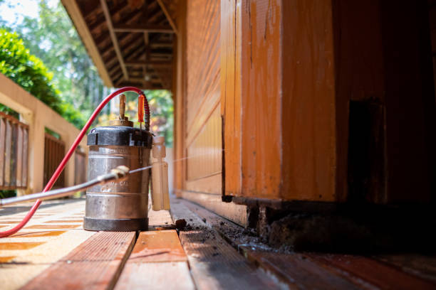 Best Wasp Removal Services  in Ukiah, CA