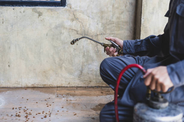 Best Best Pest Control Near Me  in Ukiah, CA